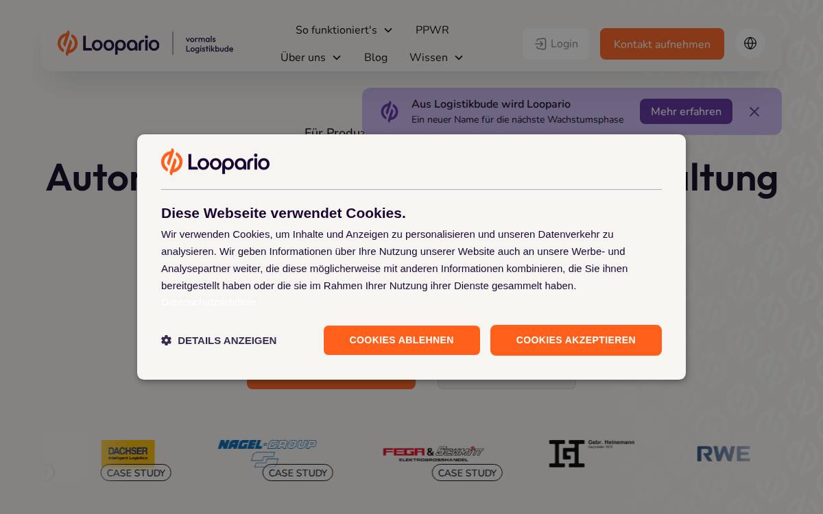 Loopario website preview