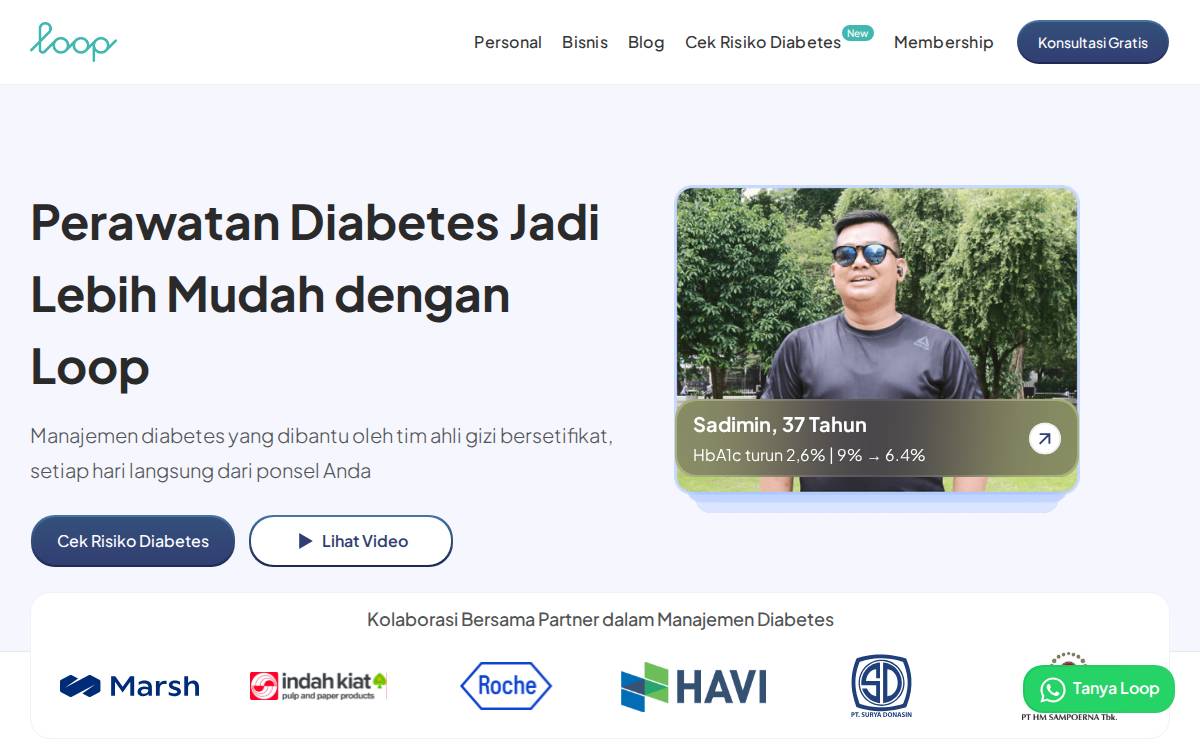 Loophealth website preview