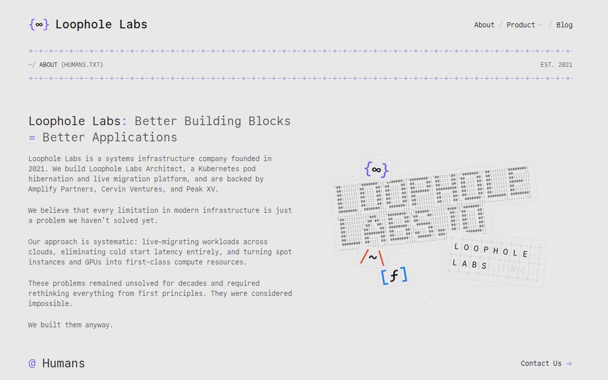 Loophole Labs website preview