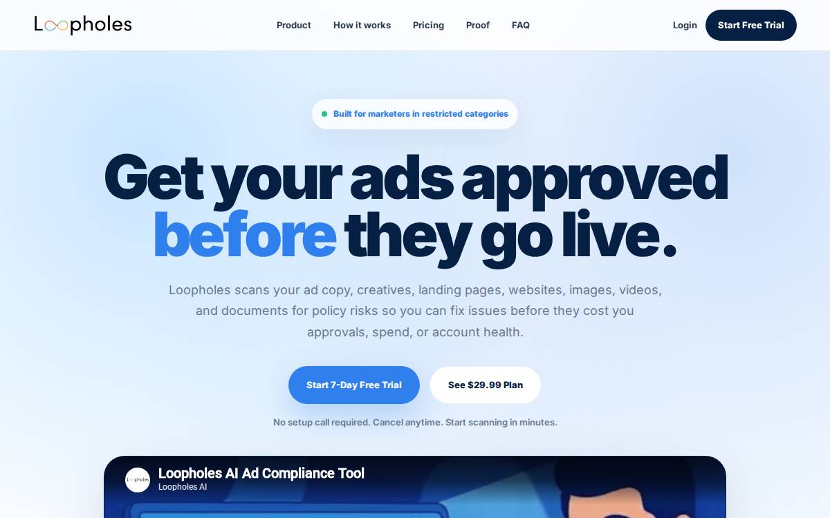 Loopholes website preview