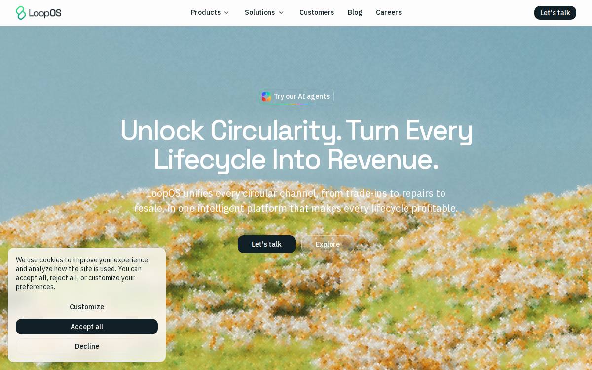 LoopOS website preview