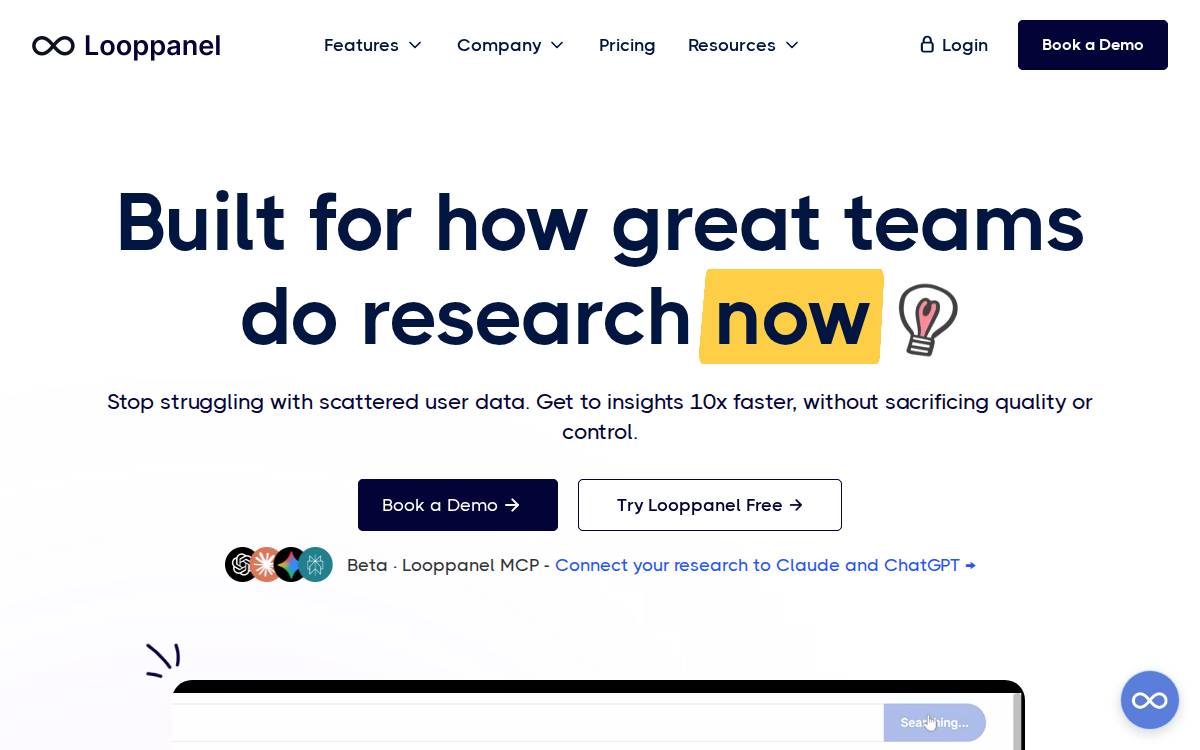 Looppanel website preview