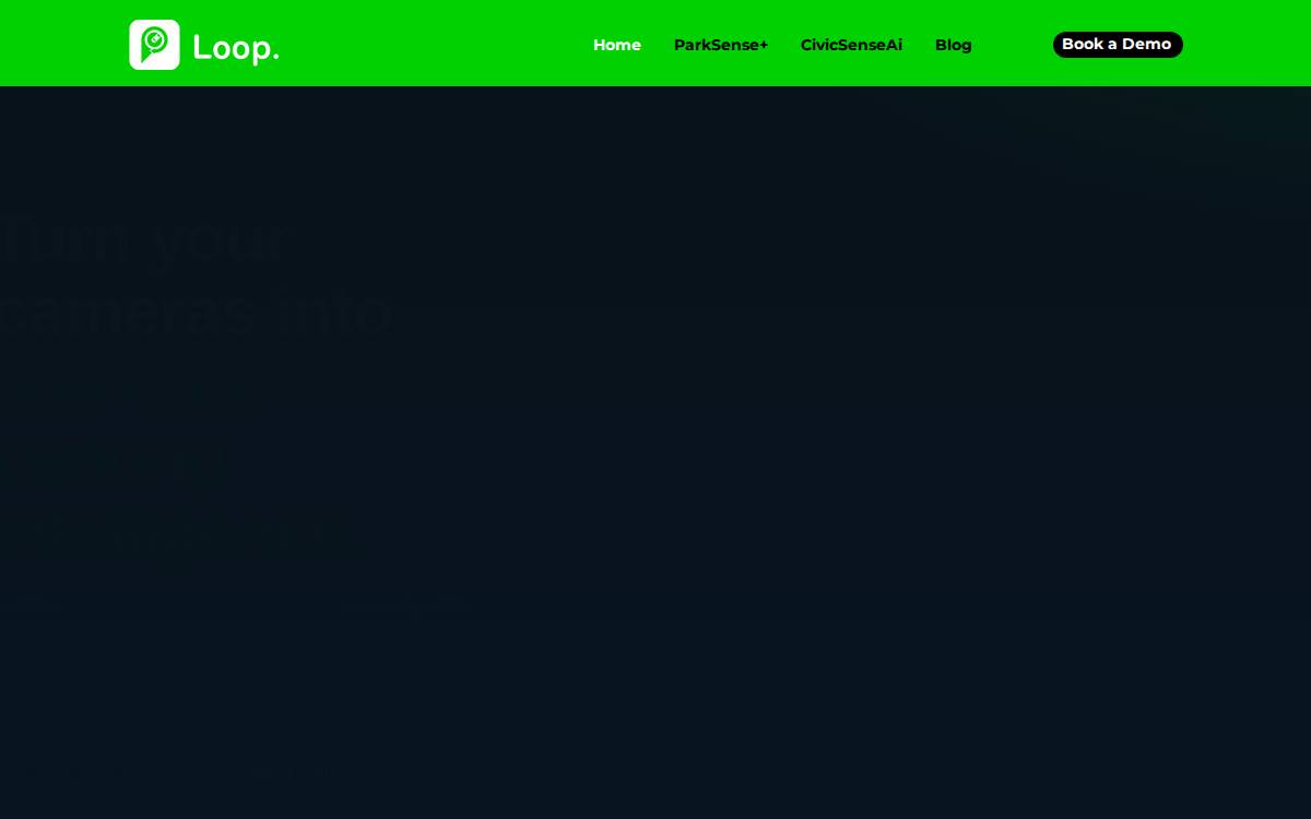 Loopparking website preview