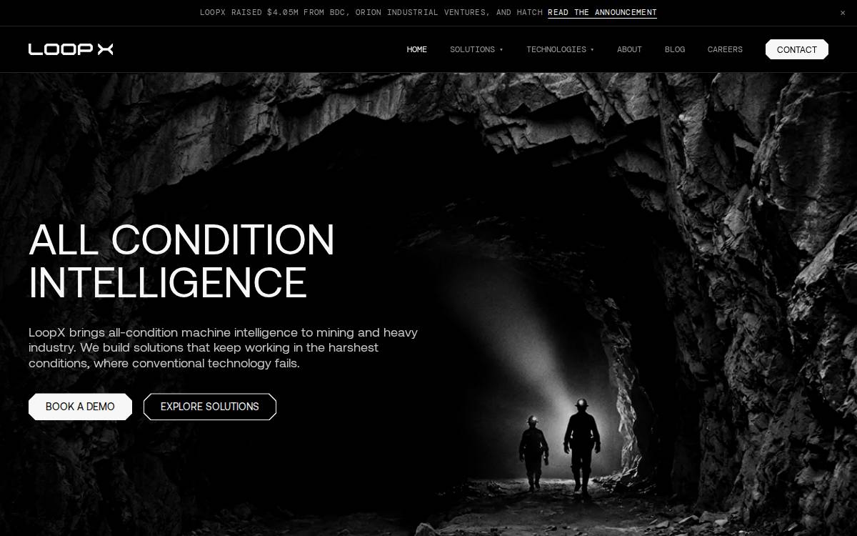 LoopX Innovation Inc. Website website preview