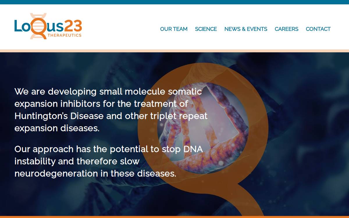LoQus23 website preview