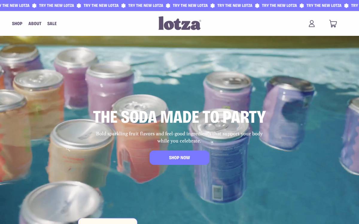 Lotza website preview