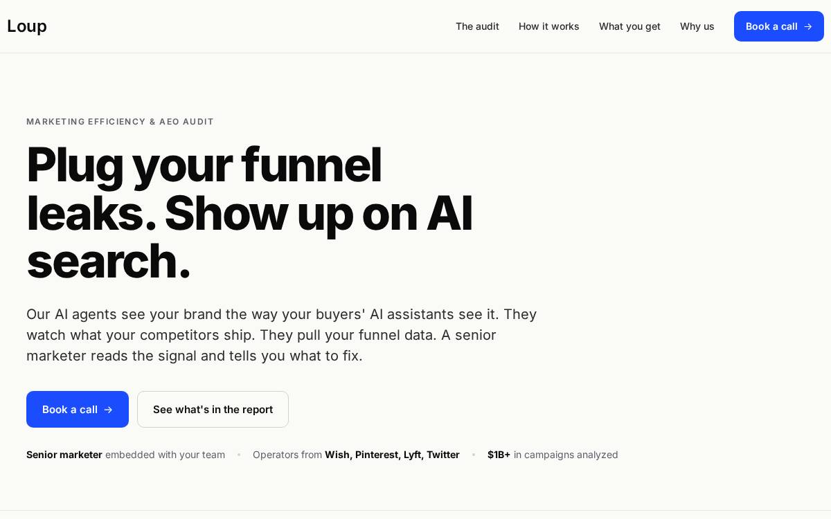 Loup website preview