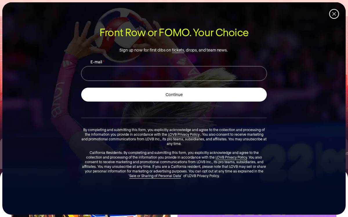 Lovb website preview