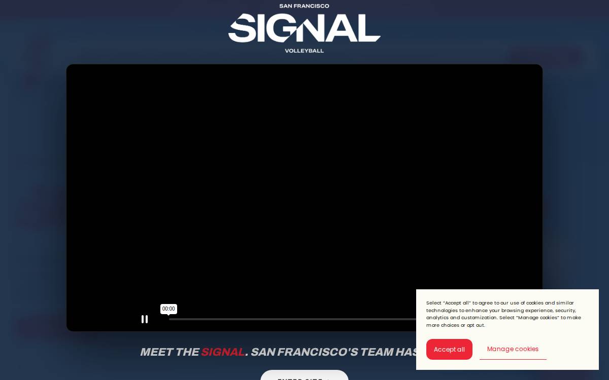 Lovbsf website preview
