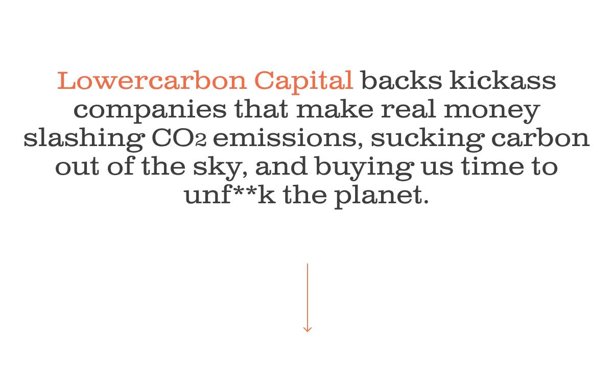 Lower Carbon Capital website preview