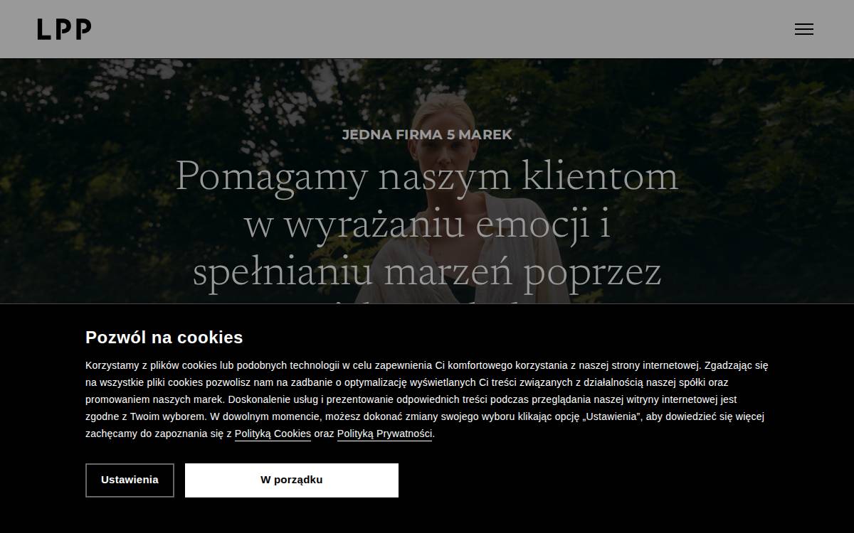 Lppsa website preview
