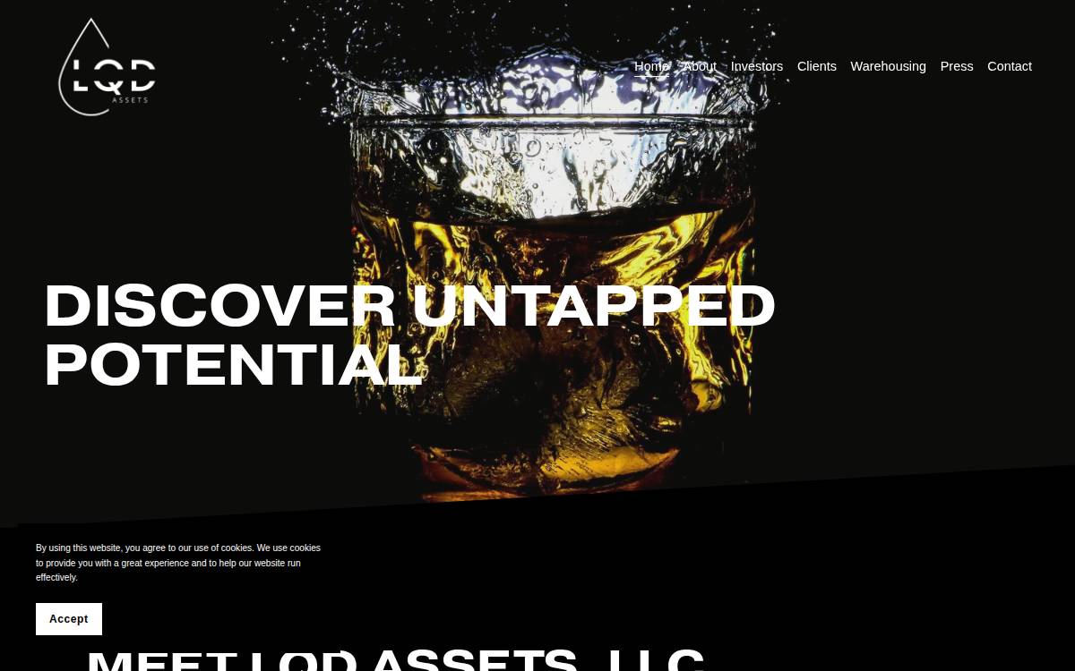LQD Assets website preview