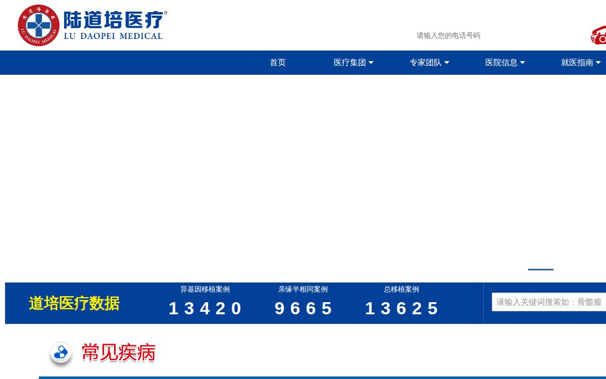 Lu Daopei Medical website preview