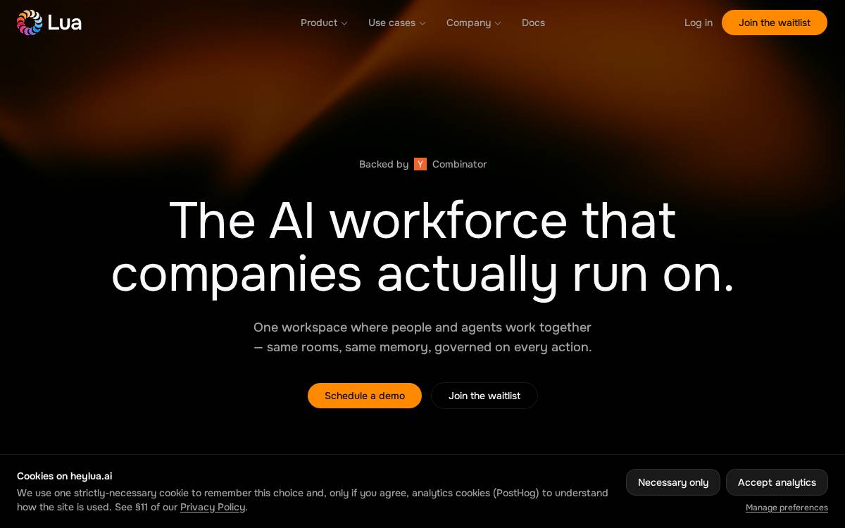 Lua Global Inc website preview