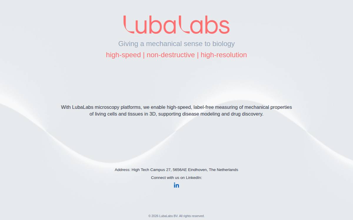 LubaLabs website preview