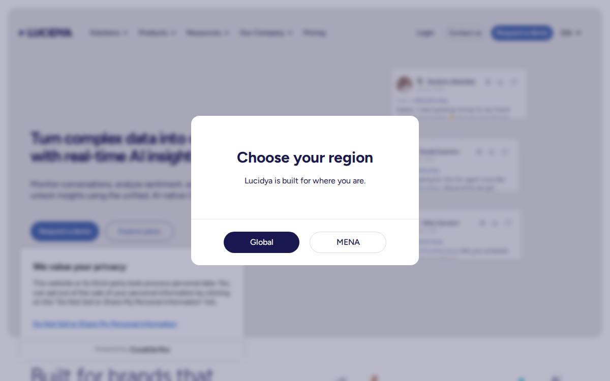Lucidya website preview