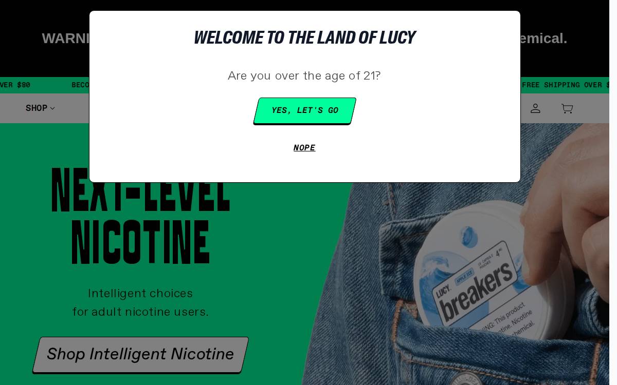Lucy Goods, Inc website preview