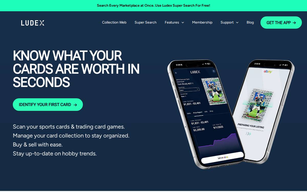 Ludex website preview