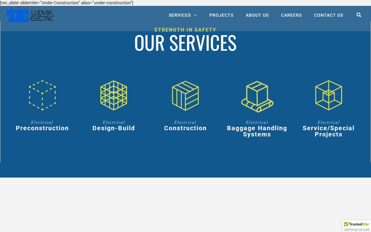 Ludvik Electric website preview