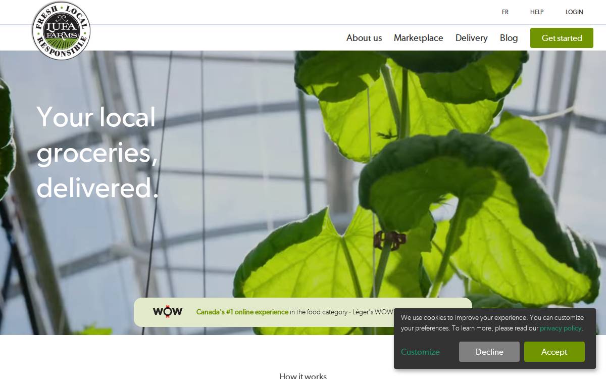 Lufa website preview