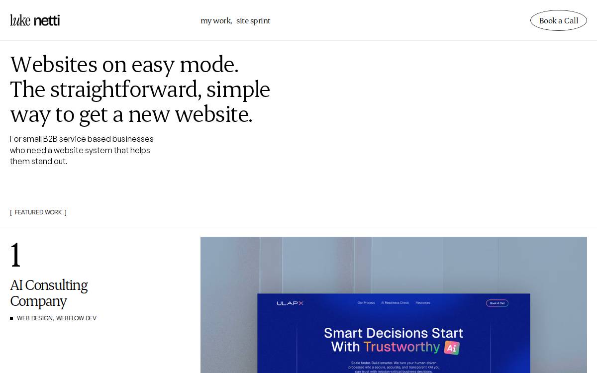 Luke Netti website preview