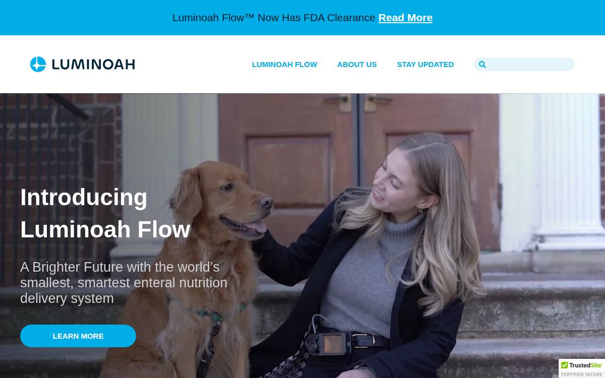 Luminoah website preview