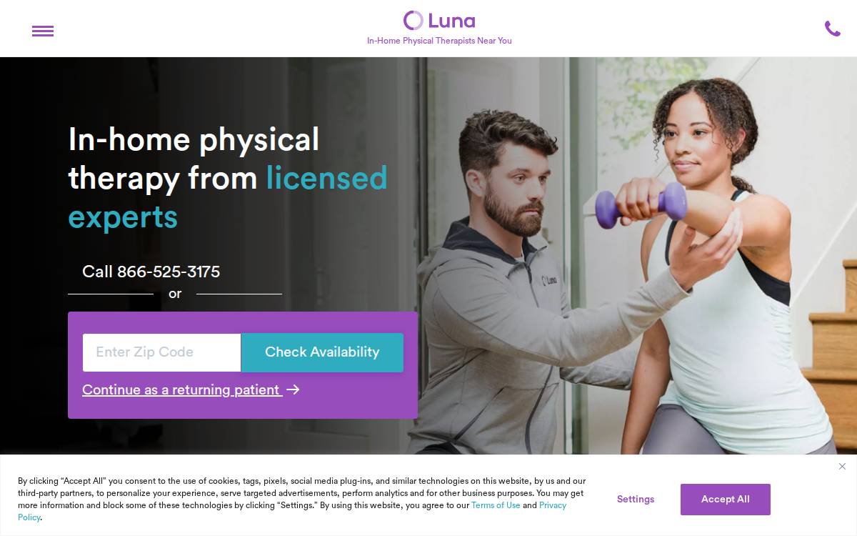 Luna website preview