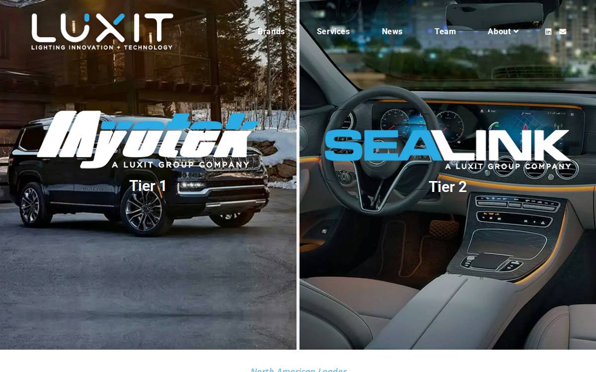 Luxit Group website preview