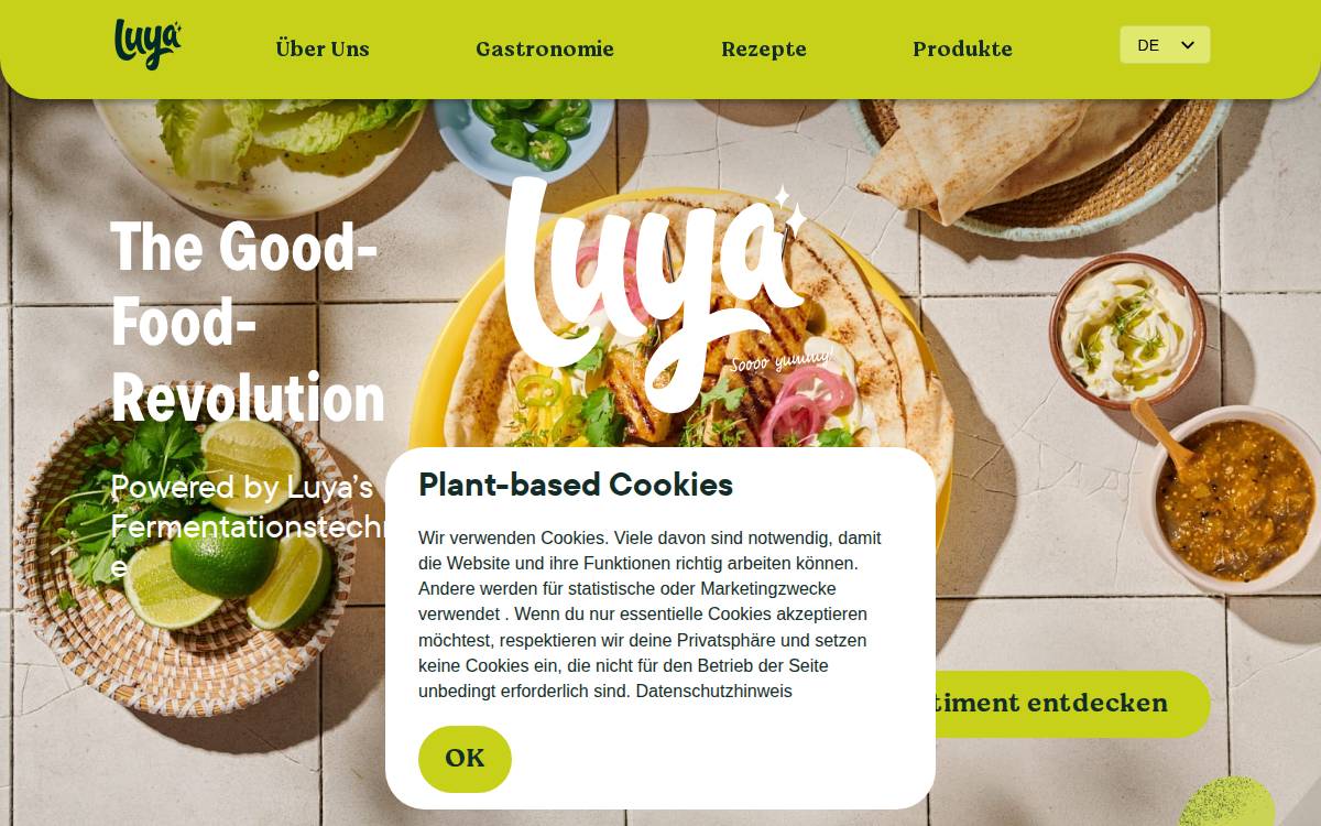 Luya website preview