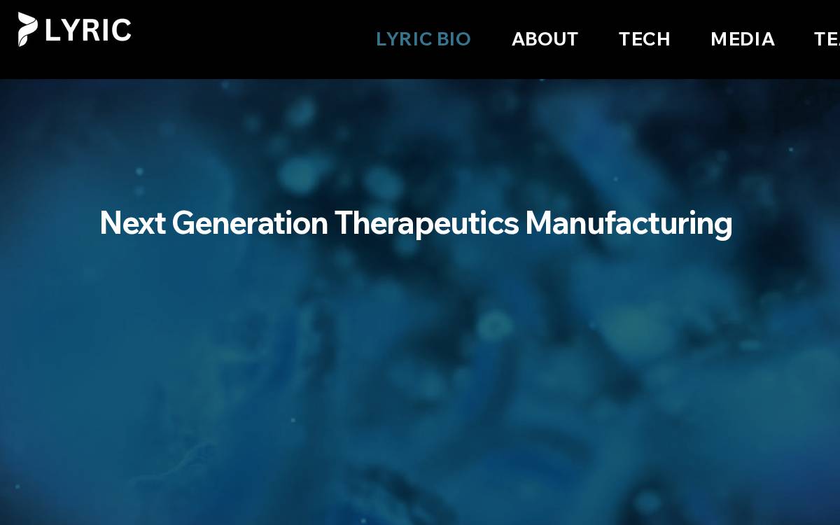 Lyric Website website preview
