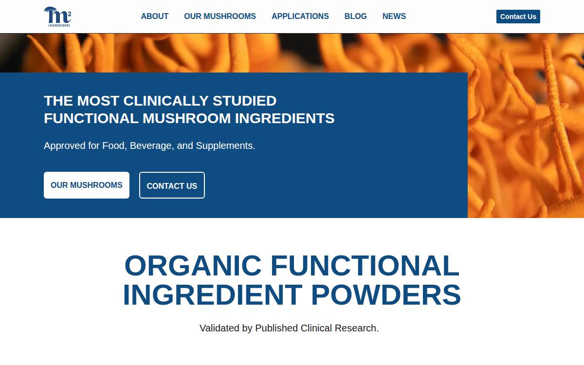 M2 Ingredients website preview