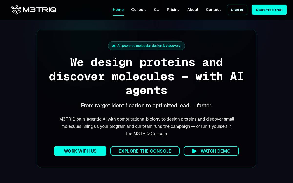 M3Triq website preview