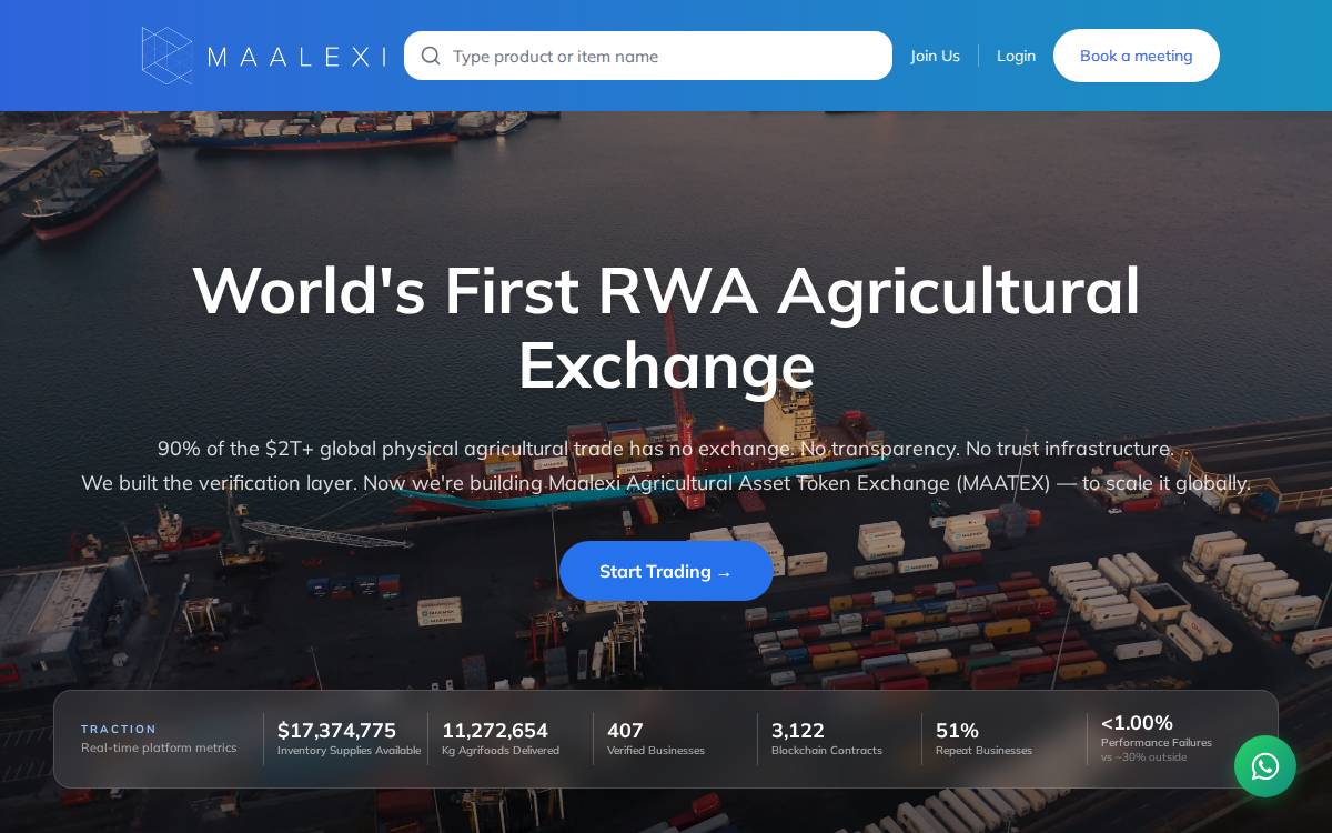Maalexi website preview