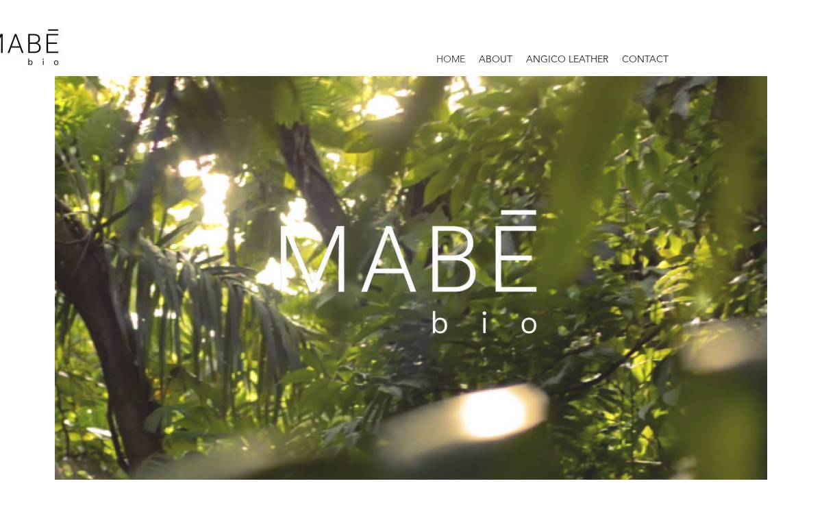 MABE Bio website preview