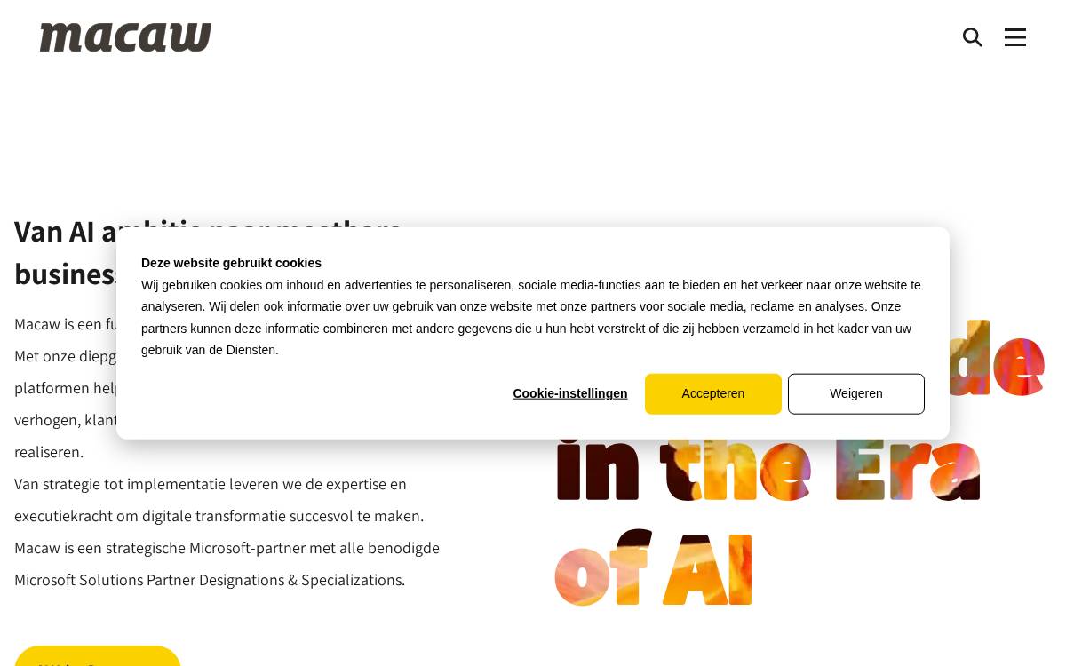 Macaw website preview