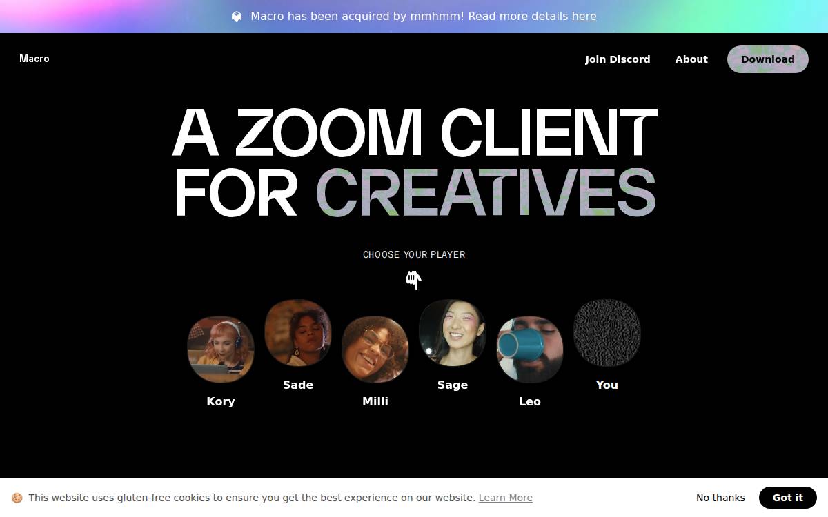 Macro website preview