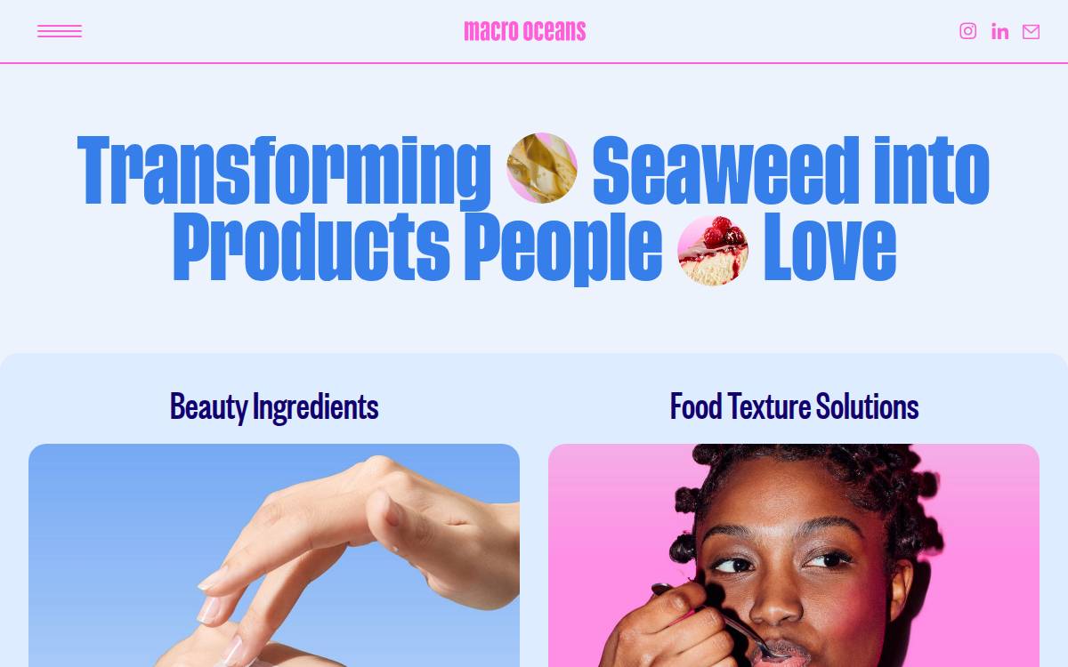 Macro Oceans website preview
