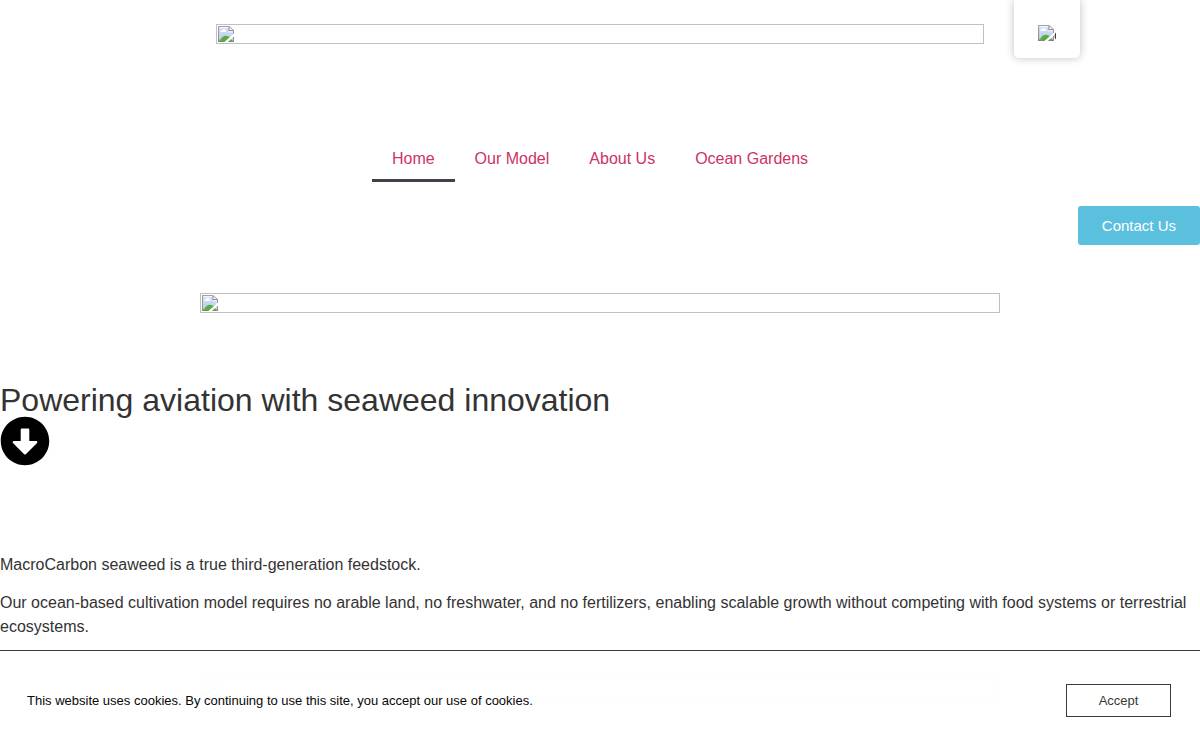 Macrocarbon website preview