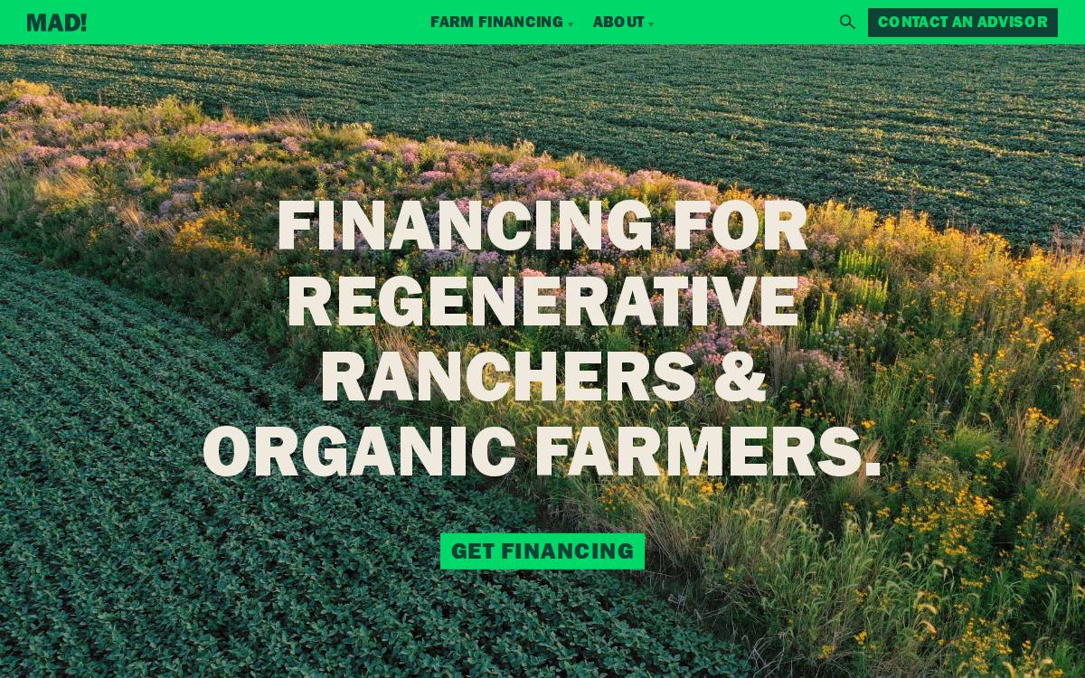 Madcapital website preview