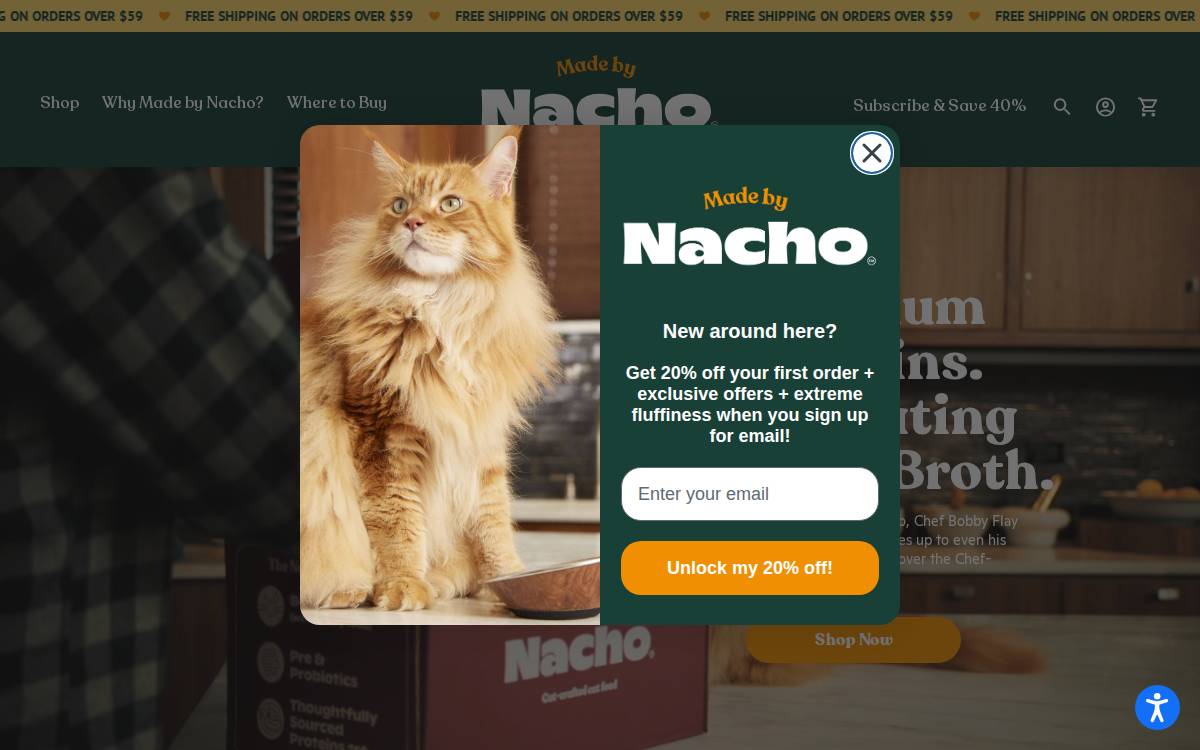 Made by Nacho website preview