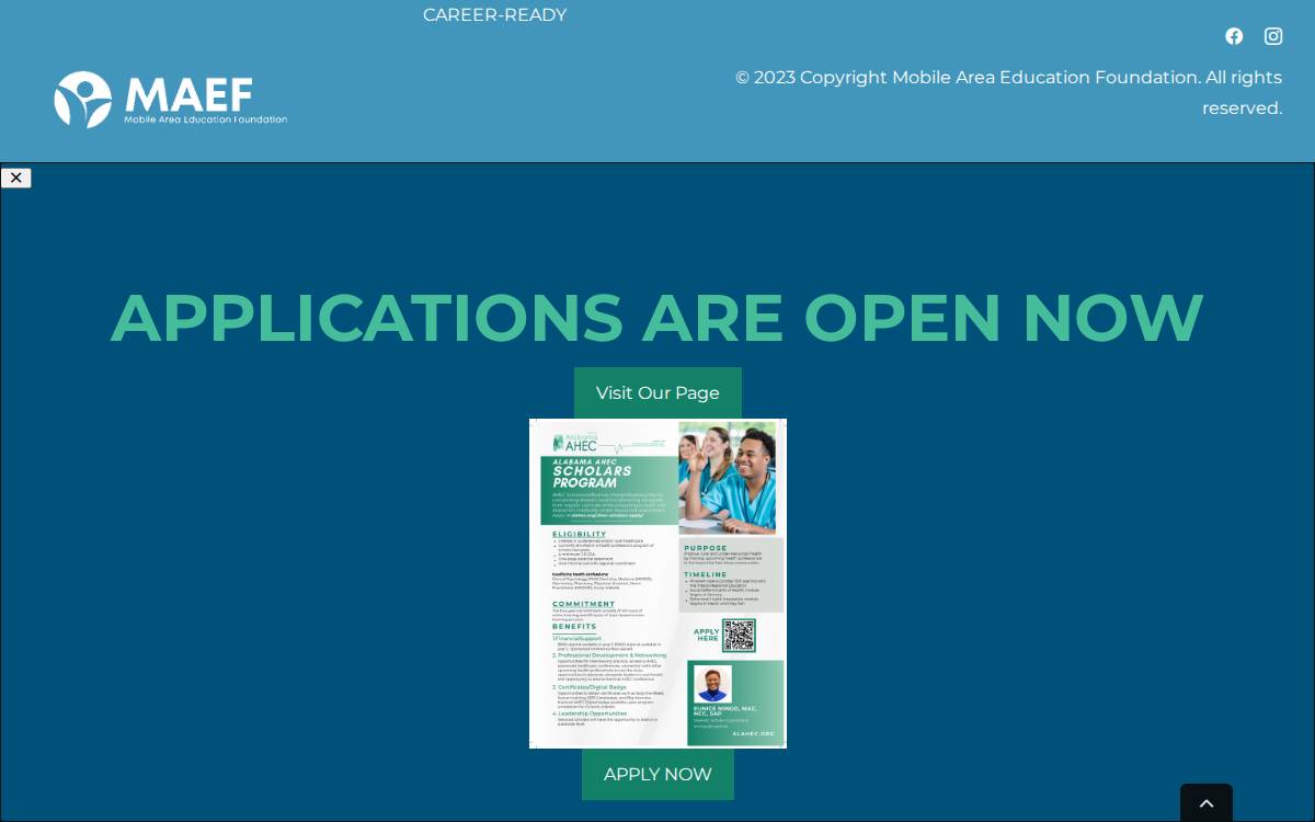 Maef website preview