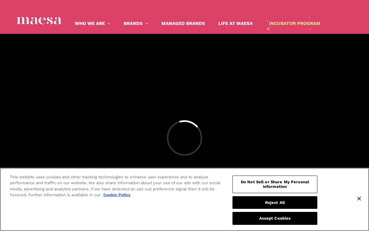 Maesa website preview