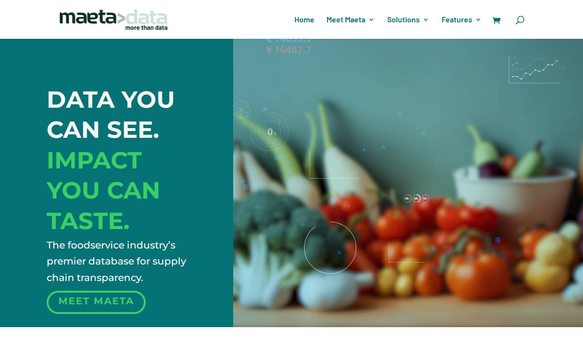 MaetaData website preview