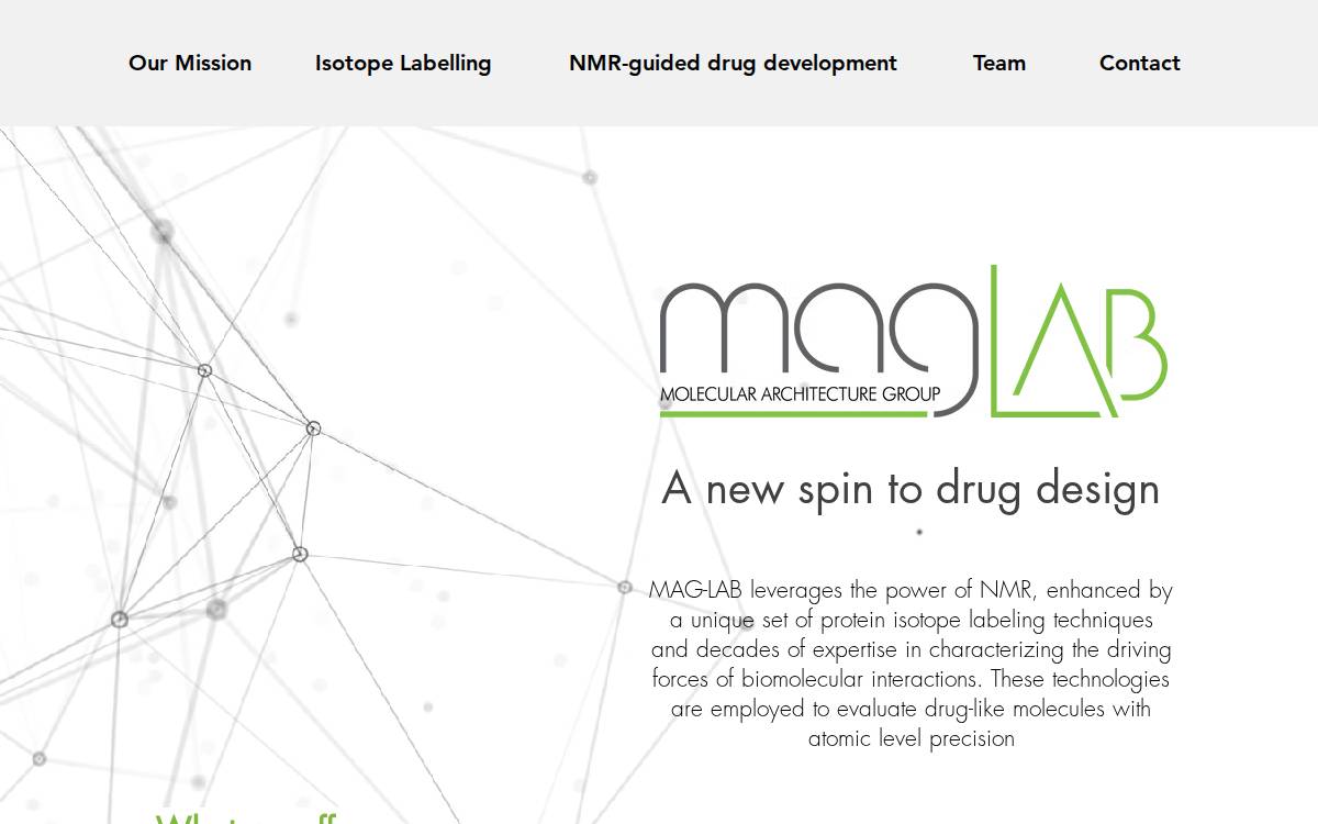 Mag Lab website preview