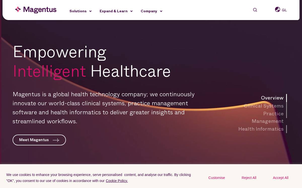 Magentus website preview