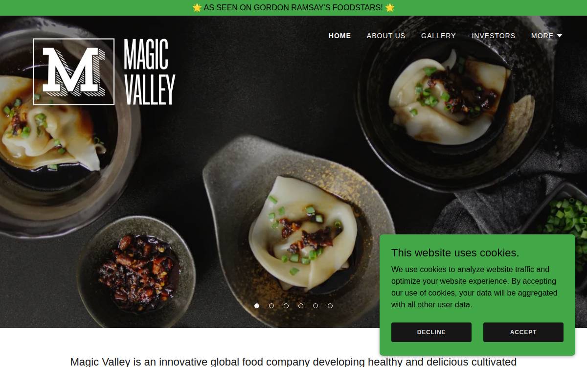 Magic Valley website preview