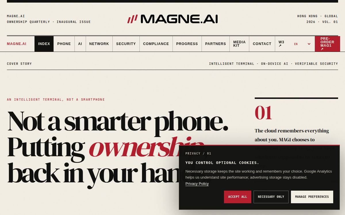 Magne website preview