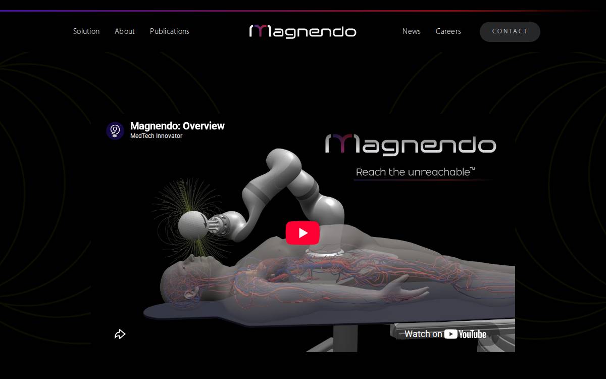 Magnendo website preview