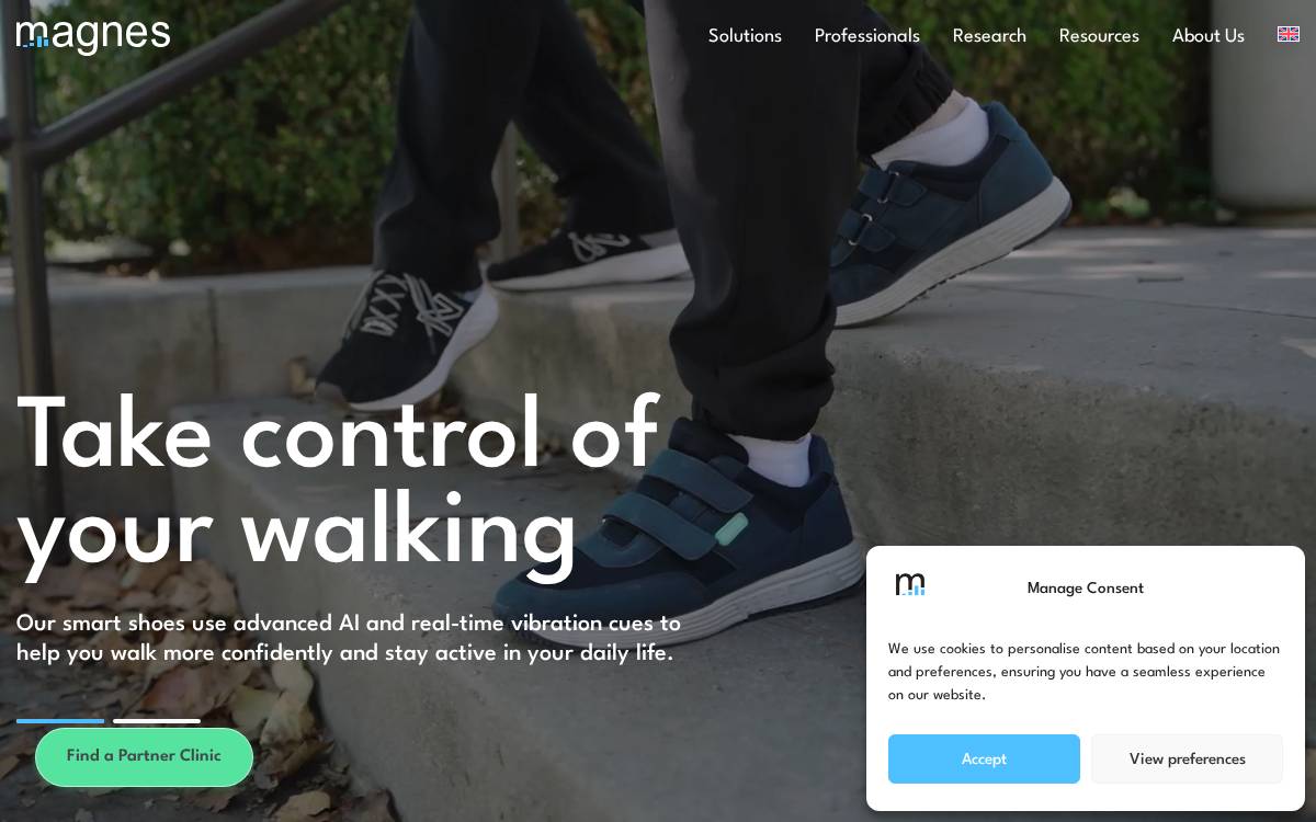 Magnes website preview