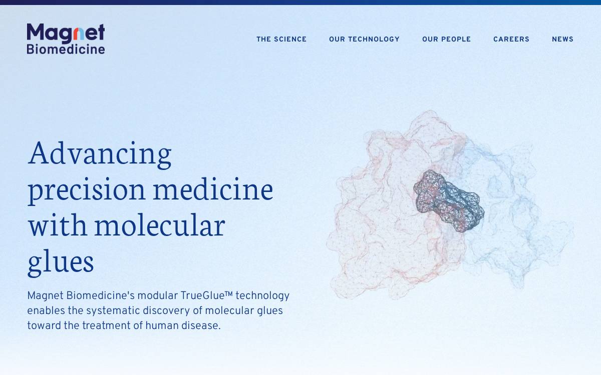 Magnet Biomedicine website preview